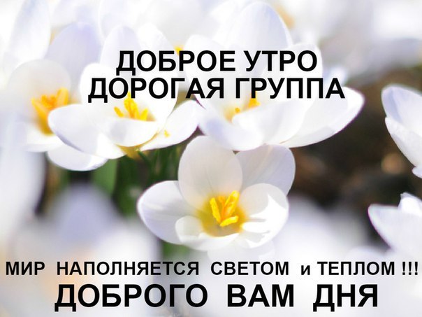  ,    . - 11  2019  07:40
