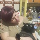 � � ���� ����� �� ������� ���� ����������