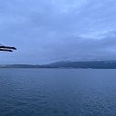  Serzh Van Der Maaremaan,  -  11  2019    