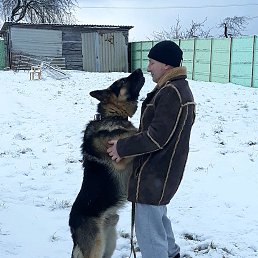 U, �����, 55 ���