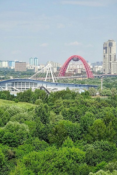 Цветы крылатское. Парк Крылатские холмы. Смотровая Крылатские холмы. Парк Крылатские холмы смотровая площадка. Восточный Крылатский холм смотровая площадка.