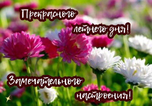   ,    . - 22  2019  11:34