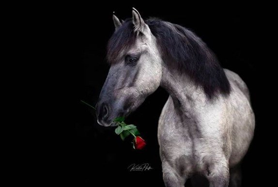  -   ! - 14  2019  03:31