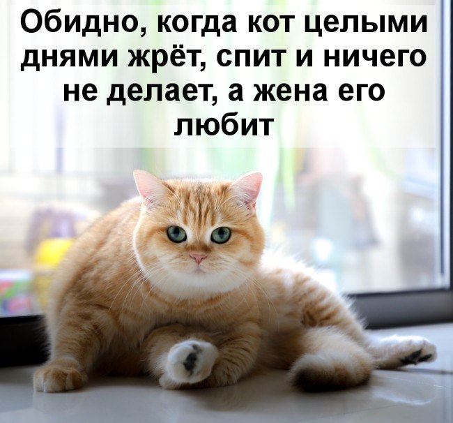   ! - 31  2019  13:48