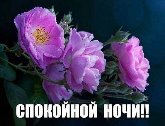   ,    . - 5  2019  21:07