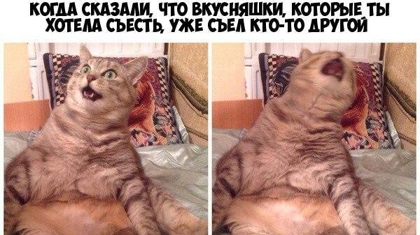    :D - 4  2019  03:38