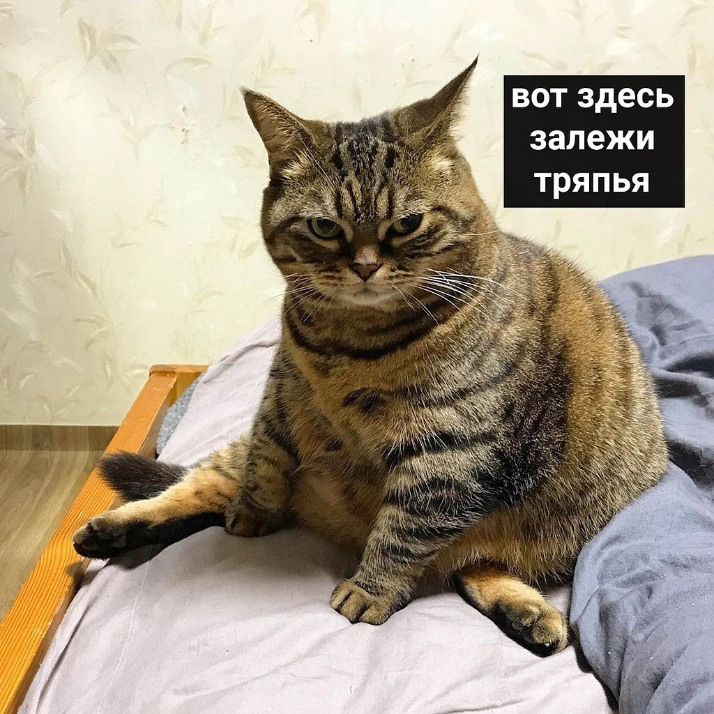       : - 3