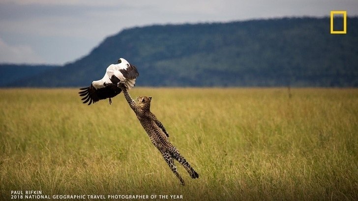    National Geographic - 6