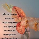���� �����, ������-��-����, 64 ���� - ��������� 27 ������ 2019 � ������ ������ ��������