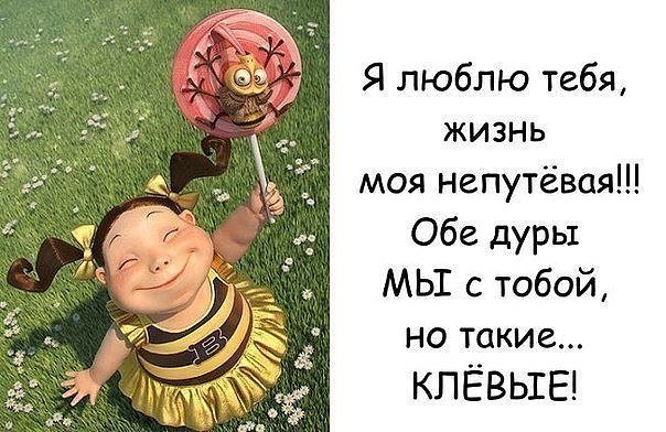 Елена - 16 августа 2019 в 09:18