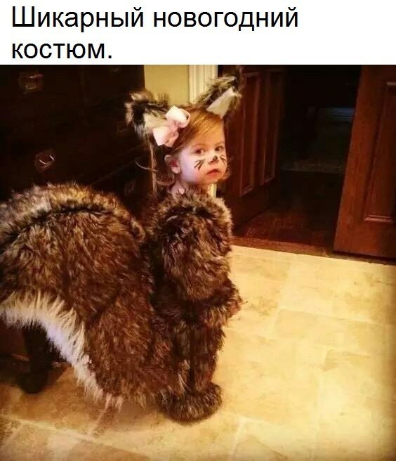    - 13  2019  19:12