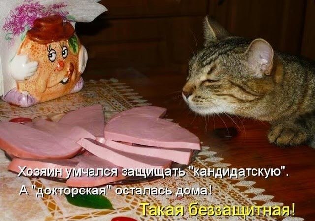  - 5  2019  21:02