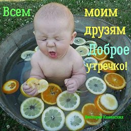 ���� ������ ��������, ���������, 52 ���� - ��������� 24 ������� 2019