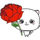 ���� �����, ���������, 52 ���� - ��������� 31 ������� 2019