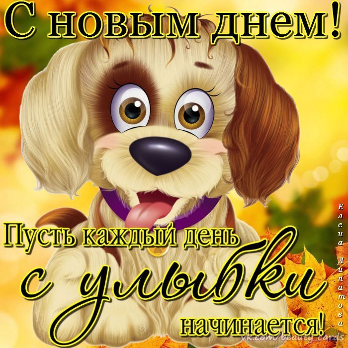   ,    . - 15  2019  13:47