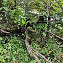  , , 50  -  26  2019   --