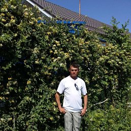 �������, ��������-��-������, 43 ����