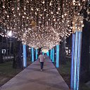 ���� ���������, ������������, 52 ���� - ��������� 24 ������� 2019 � ������ ���� ����������