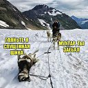 ���� ������, �����, 46 ��� - ��������� 17 ������ 2019 � ������ ������ ��������