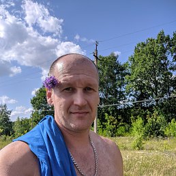, 43, 