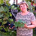  , , 68  -  29  2019   -2019