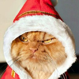 ���� ������, ������, 48 ��� - ��������� 23 ������� 2019