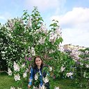 ���� �����_, ������, 50 ��� - ��������� 15 ��� 2019 � ������ ���� ����������