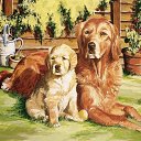 ���� Lara, ������� - ��������� 20 �������� 2019 � ������ �������