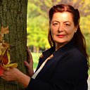 ���� �����, ���������, 66 ��� - ��������� 3 ���� 2019 � ������ ���� ����������