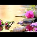 ���� �����, ���������, 63 ���� - ��������� 3 ���� 2019 � ������ ������ ��������