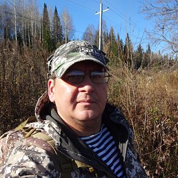 ����������, ��������, 49 ���