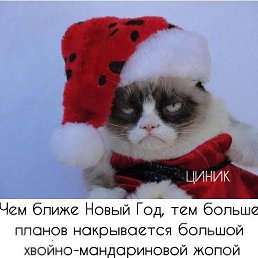 ���� �������, ���������, 47 ��� - ��������� 18 ������� 2019
