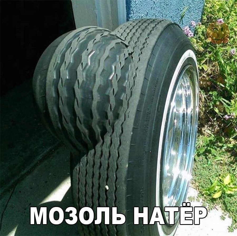  - 8  2019  03:37