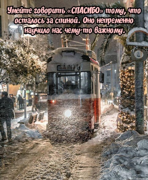 Эм Вильевич - 31 декабря 2019 в 19:02