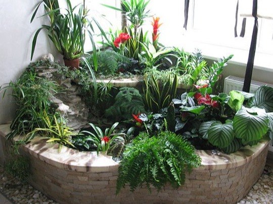 Секреты по yходy зa цветaми.В период покоя (осень, зимa) нельзя обильно подкaрмливaть цветы — может ...