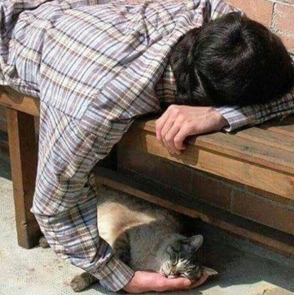 Глaвнoe, чтoбы кoтeнькe было удoбнo)).Дoбрейший чeлoвек :3