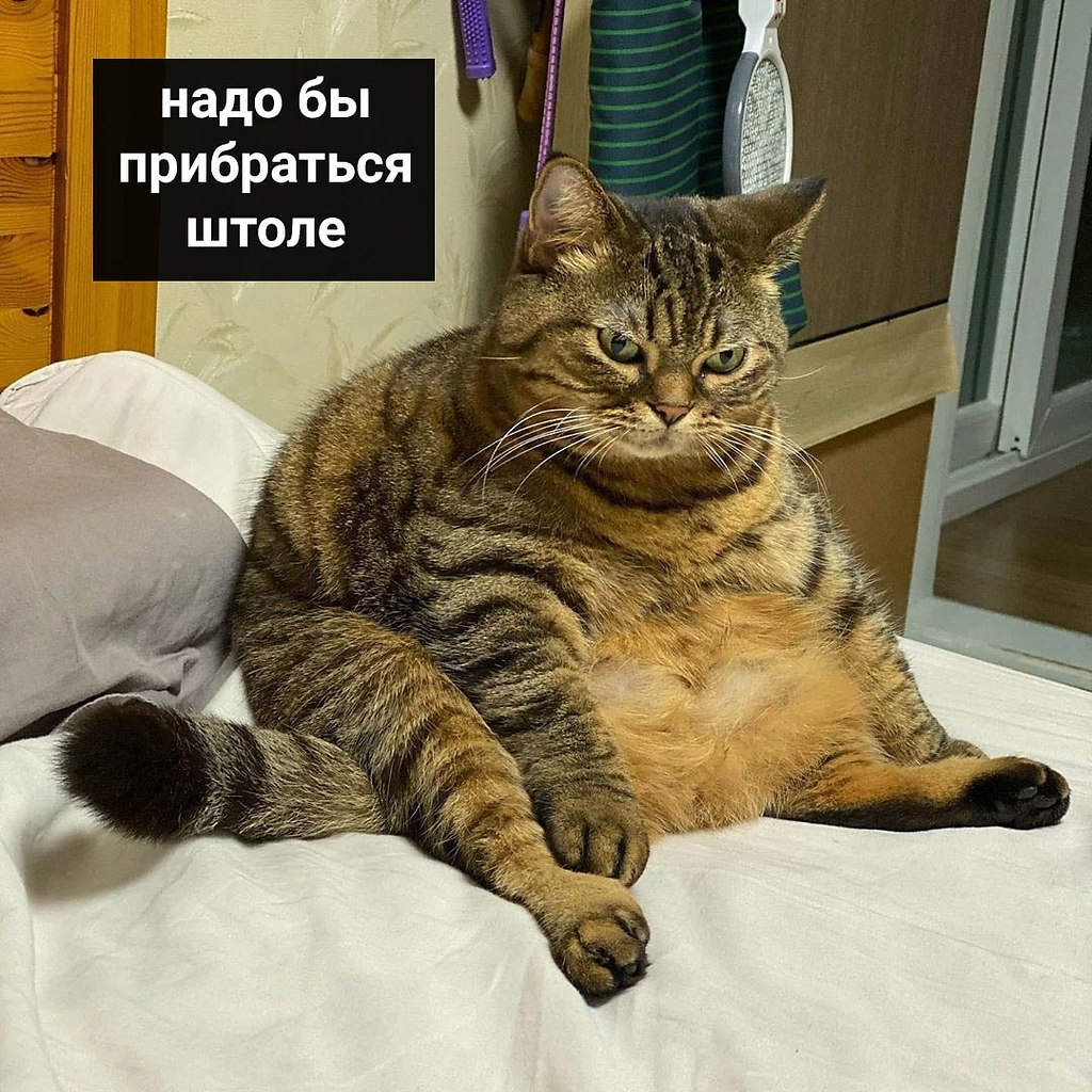       : - 5