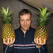 ������, 51 ���, ������