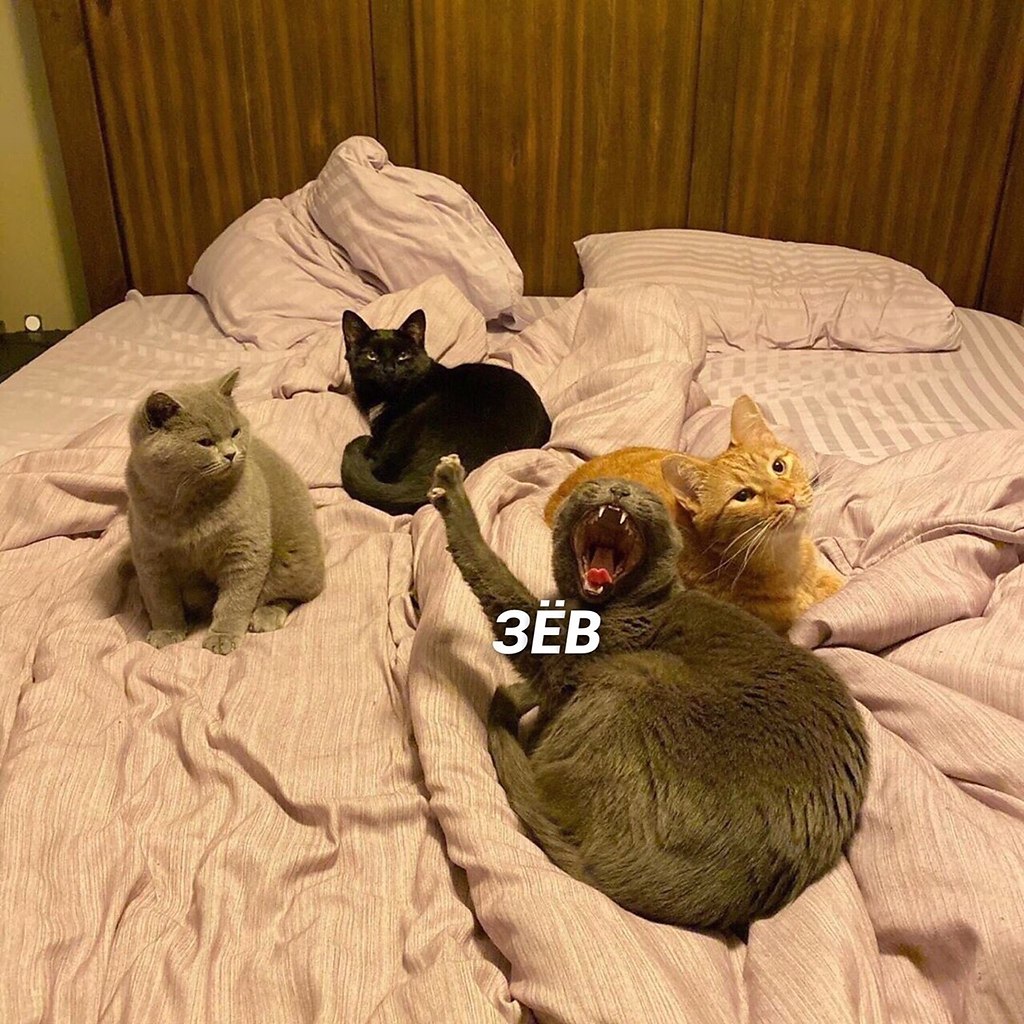 ,     :3