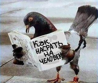 Предательство ... В жизни случаются такие моменты, когда самый близкий человек становится причиной ...