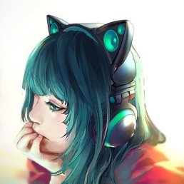 , , 29 