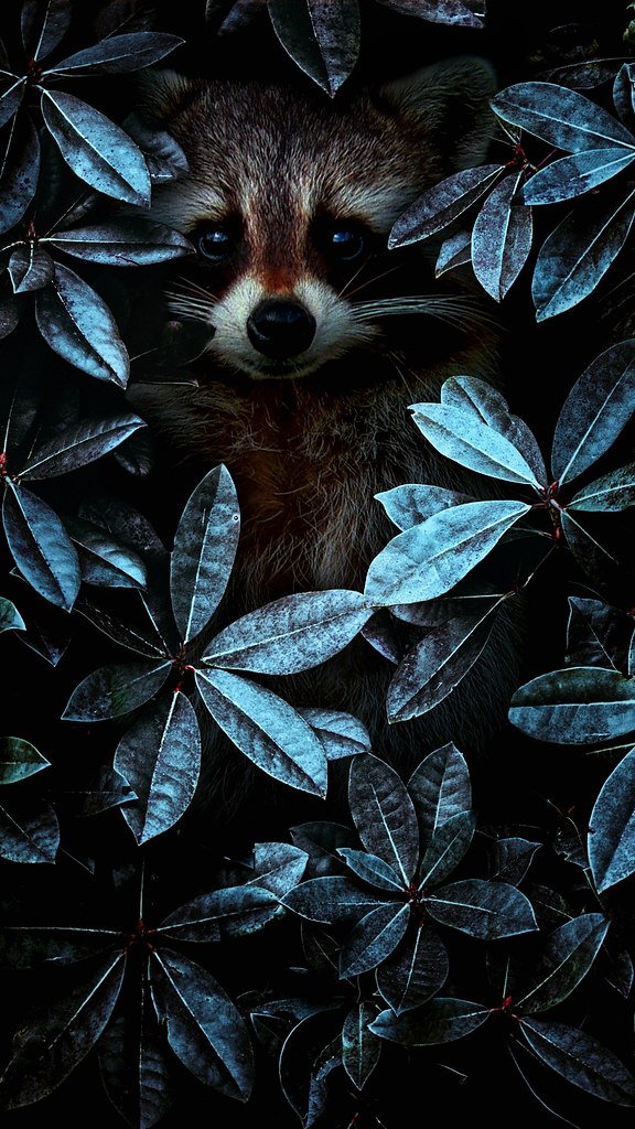 [] iPhone.     #@https://fotostrana.ru/away?to=/sl/0R2     : ... - 2