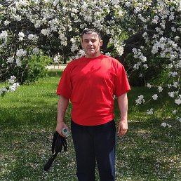 ���� ������, ���������, 50 ��� - ��������� 26 ���� 2019