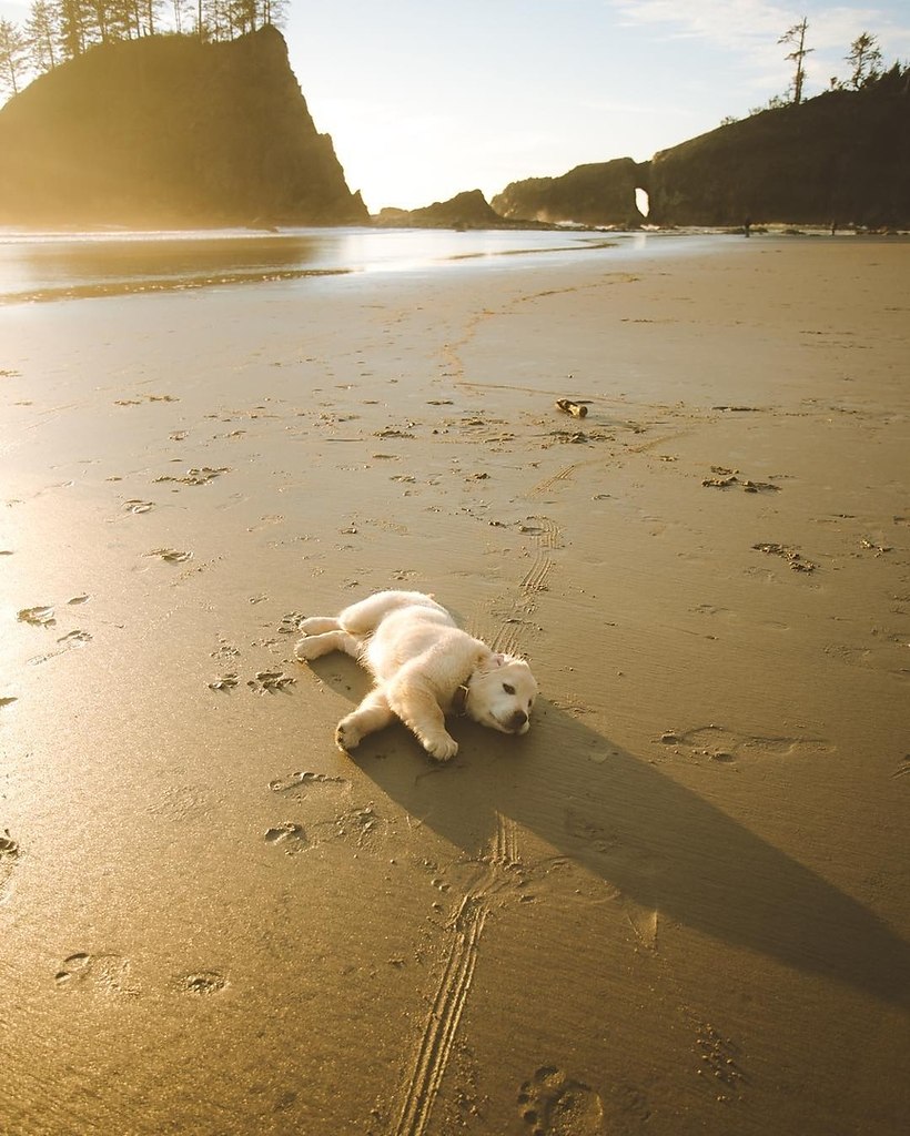 �a� �� �oo��e �o�e�e ���� �e� co�a��? - 5