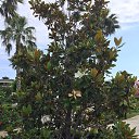 ���� � ����� ��� ����� �������, ��������, 75 ��� - ��������� 7 �������� 2019