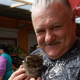 �������, ��������, 67 ���