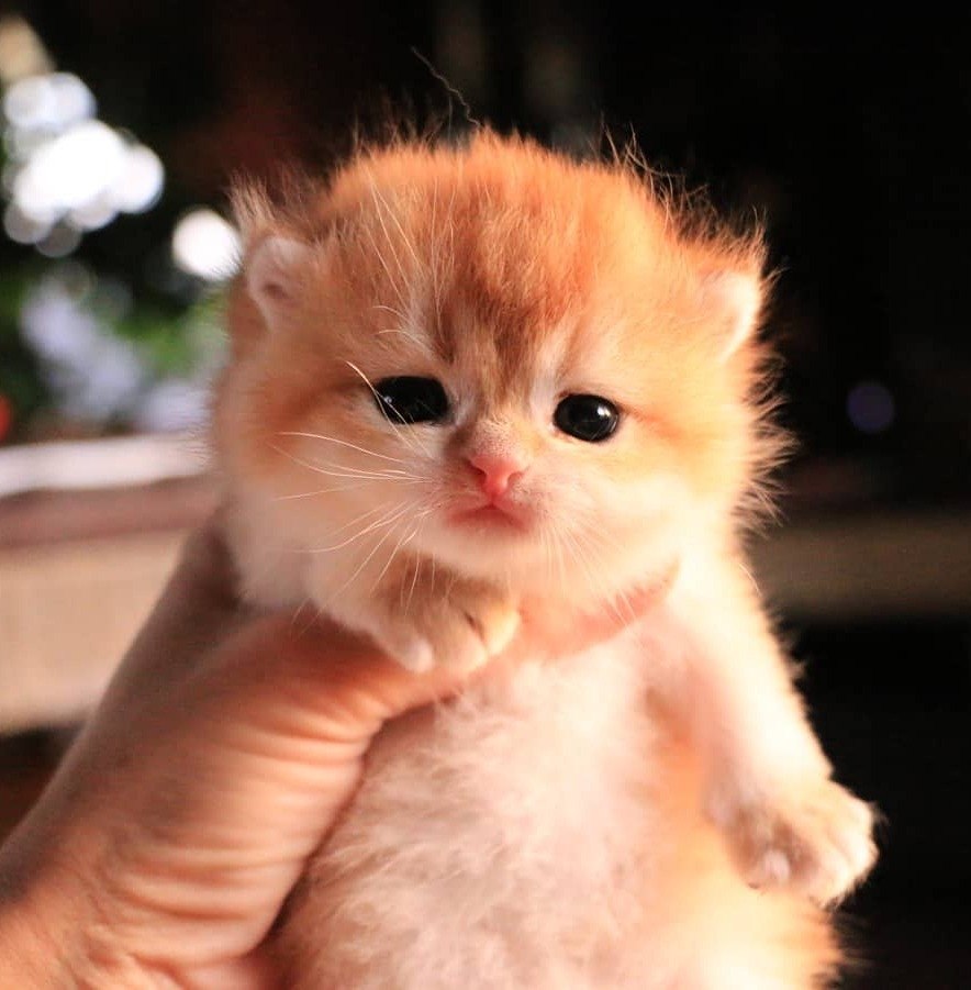     :3 - 2