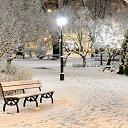 ���� �����, �����, 56 ��� - ��������� 16 ������� 2019 � ������ ������ ��������