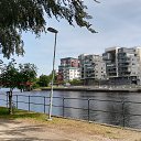  Gojko, -, 72  -  18  2019   Svedska 2019.g.