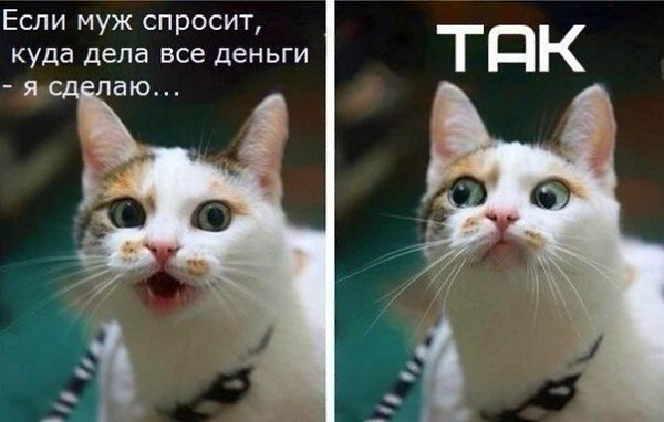    - 7  2019  19:04